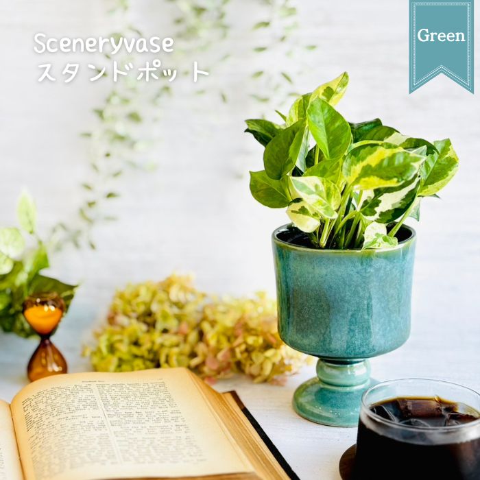 V.WIENNA ボウル 深皿 Sサイズ グリーン