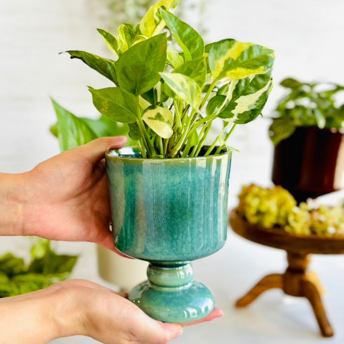 Sceneryvase スタンドポット グリーン05