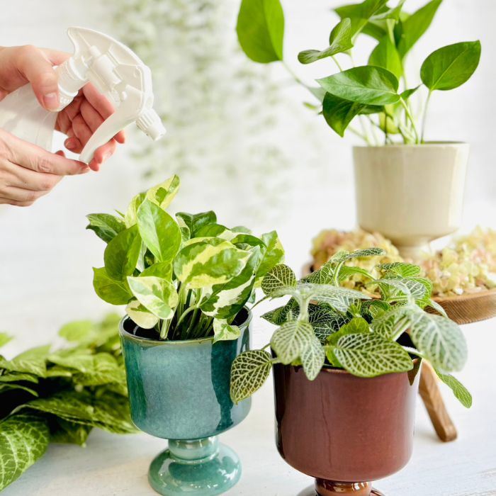 Sceneryvase スタンドポット グリーン06