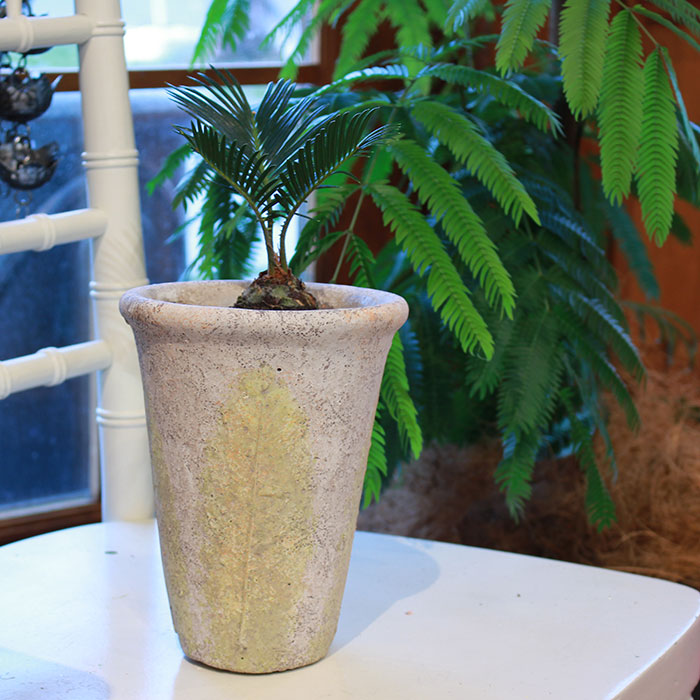 ＪＡＩリーフ　鉢カバー　Sサイズ ナチュラル　セメント　　観葉植物　リーフ柄09