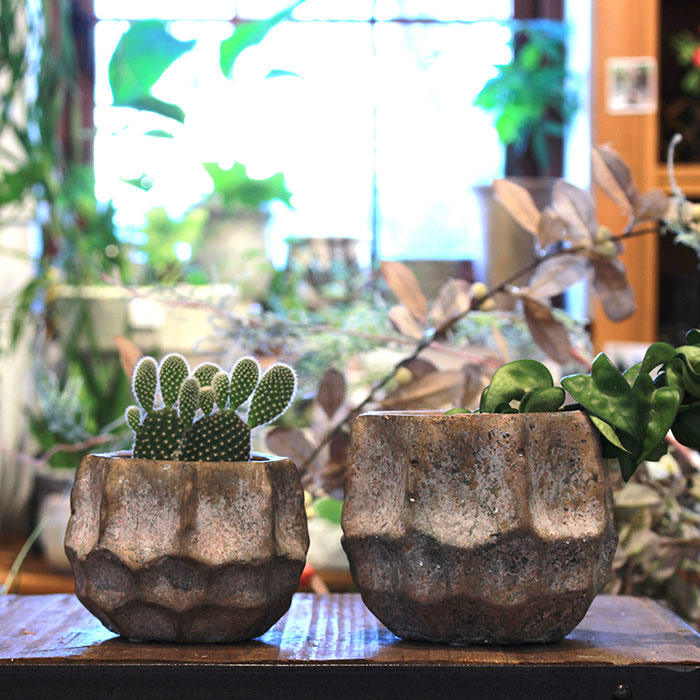 姫路市の雑貨店 Portus カフェも併設 todd 鉢カバー Sサイズ ゴールド セメント 鉢カバー 観葉植物 姫路市の雑貨店 Portus カフェも併設 todd 鉢カバー Sサイズ ゴールド セメント 鉢カバー 観葉植物