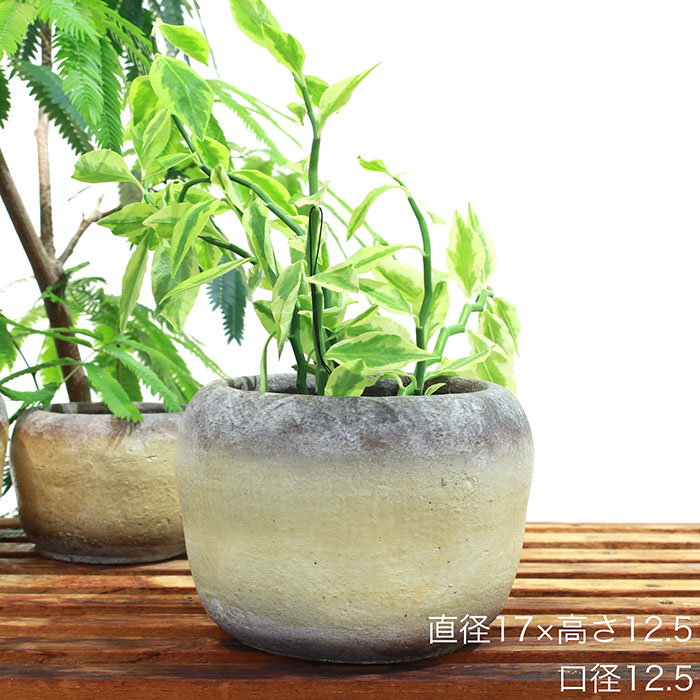 姫路市の雑貨店 Portus カフェも併設 ａｌｙ 鉢カバー Lサイズ イエロー 陶器 鉢カバー 観葉植物