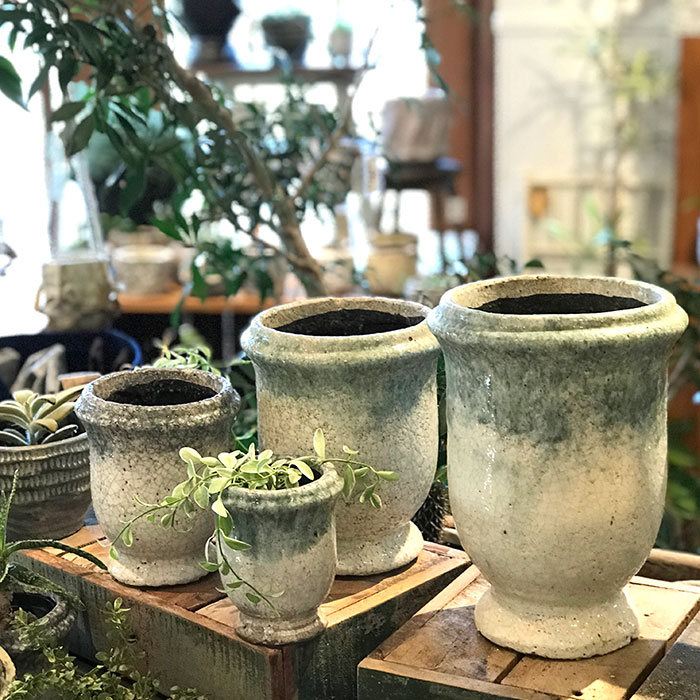 ＭＥＬＳ　鉢カバー　XSサイズ　　陶器　鉢カバー　観葉植物10
