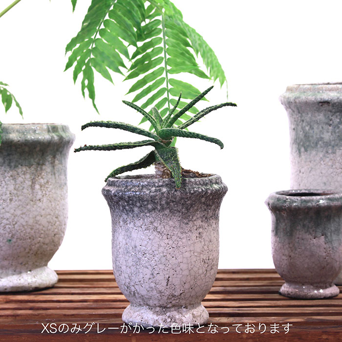 ＭＥＬＳ　鉢カバー　XSサイズ　　陶器　鉢カバー　観葉植物13