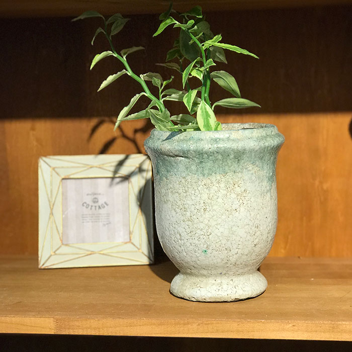 ＭＥＬＳ　鉢カバー　XSサイズ　　陶器　鉢カバー　観葉植物06