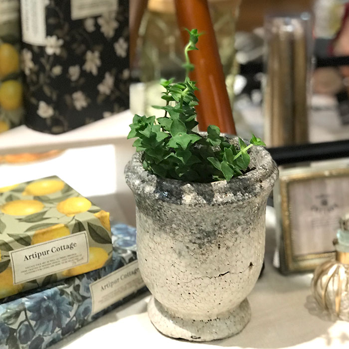 ＭＥＬＳ　鉢カバー　XSサイズ　　陶器　鉢カバー　観葉植物07