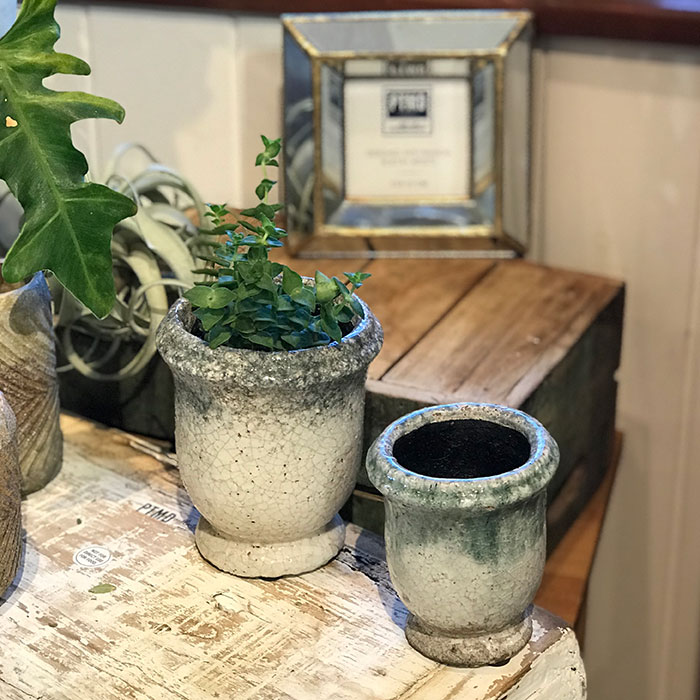 ＭＥＬＳ　鉢カバー　XSサイズ　　陶器　鉢カバー　観葉植物09